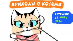 Приколы с котами. ЛУЧШЕЕ ЗА МАРТ 2023 | Мемозг