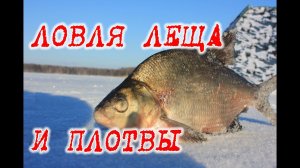 Ловля подлещика и плотвы зимой