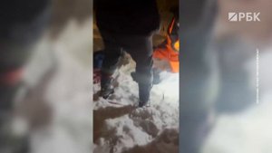 Спасатели вытащили лабрадора из канализационного колодца