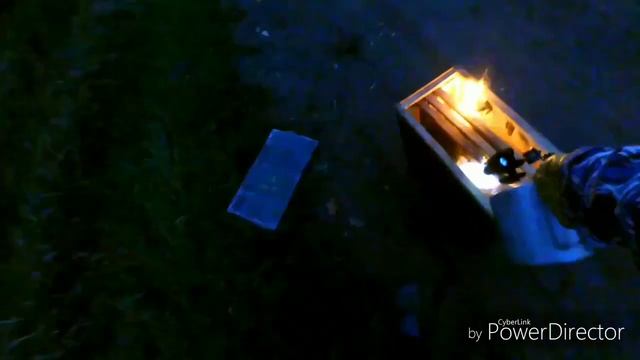 Впіймав шершнів в ловушку, що робити.. Шершни, в ловушке для пчёл !! Что делать!! Выход есть? смотреть онлайн