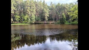Калинов ручей.
