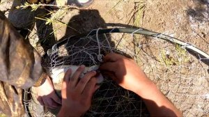 Река снова радует очередными ТРОФЕЯМИ! ТРЕХ ДНЕВНЫЙ шикарный выезд на Реку!Рыбалка на реке ИЛИ! 202