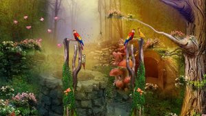 Футаж -Сказочный лес!   Fairy forest!