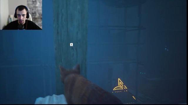 ИГРА ГЛАЗАМИ КОТА СЛОМАЛИ ЛАПКУ ➤ Stray #1 ➤ TITAN INC