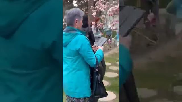 Геленджик. 3 апреля. Цветет магнолия. смотреть онлайн