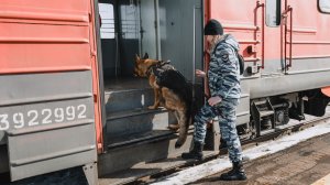 Девушки на службе в транспортной полиции Иркутска