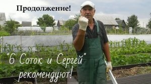 Высокие грядки от Гардек, дадут огромный урожай всего.