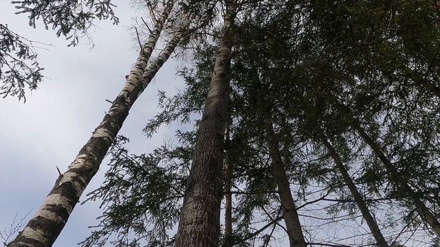 Никто не забыт, ничто не забыто