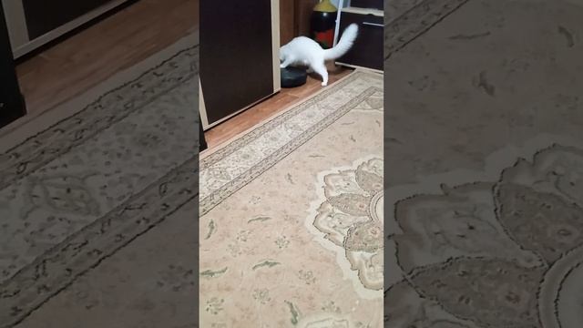 Уборщица ? смотреть онлайн