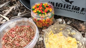 РЫБАЛКА В ИЮНЕ НА ФИДЕР. КАРАСЬ. САЗАН. ЛЕЩ В ЗАТОНЕ РЕКИ