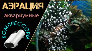 Аэрация. Масштабный обзор аквариумных компрессоров.