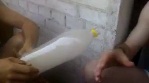 Травокуры на балконе