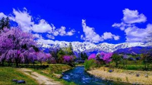 С днём рождения Евгения.Сл и муз.С.Метёлкин.