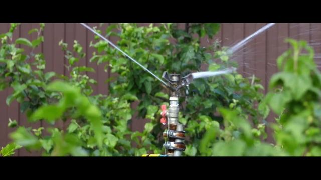 смородина, как и все ягодные кустарники требует полива, поэтому если хотите получить урожай смотреть онлайн