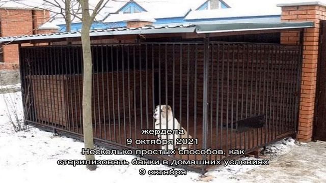 С любовью к меньшим «братьям» — загон для собак своими руками смотреть онлайн