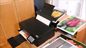 Epson ET-8550, or L8180 printer - Printing large colour image in real time.