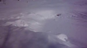 Глубина пруда для карпов.
