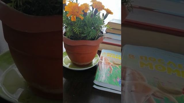 Рассказы о вечной любви!!! Серия Невыдуманные истории. Поддержка Ангела. смотреть онлайн