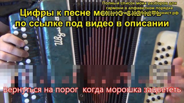 Морошка разбор