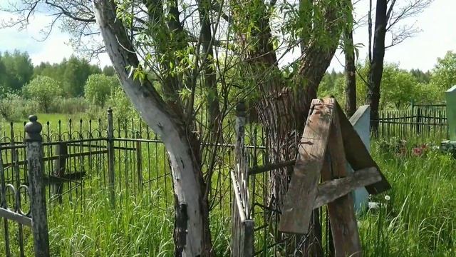 Посёлки Ленинский и Новоникольский (Брянская область, Выгоничский район, Орменский сельсовет)