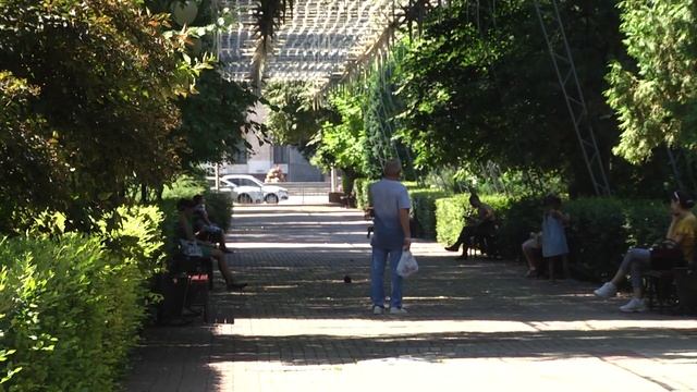 Свадебный бум в Воронежской области смотреть онлайн