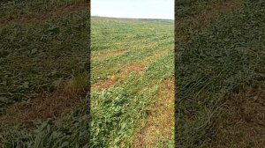 Косилка до мототрактора