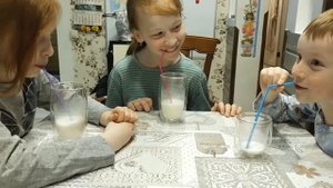 Как хранить парное молоко // Продлим жизнь молоку
