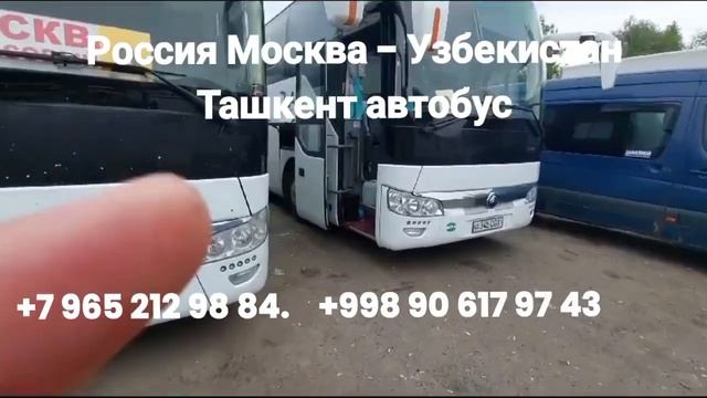 Россия Москва - Узбекистан Ташкент автобус #россия #москва #узбекистан #ташкент #автобус