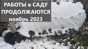 Работы в саду продолжаются. Зачем мне укрывной в теплице. Хвойные малыши баю-бай.