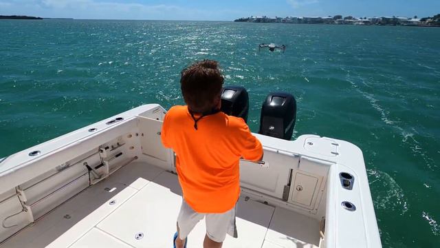 Mavic Drone Hand Catch Demo смотреть онлайн