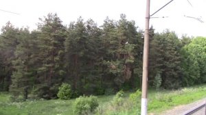 Лютик — Непецино на ЭД4М-0124