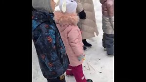 Хаски-парк в Сокольниках /Хаски в Москве