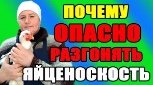 Почему ОПАСНО разгонять яйценоскость кур.