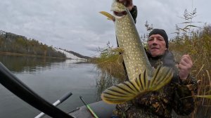 Как братан щуку поймал