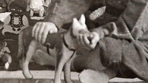 Живая Победа - Дети сироты