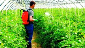 Выбор опрыскивателя. По-взрослому .