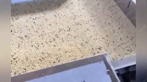 2022 Как производятся протеиновые батончики? технологическая линия по производству протеиновых