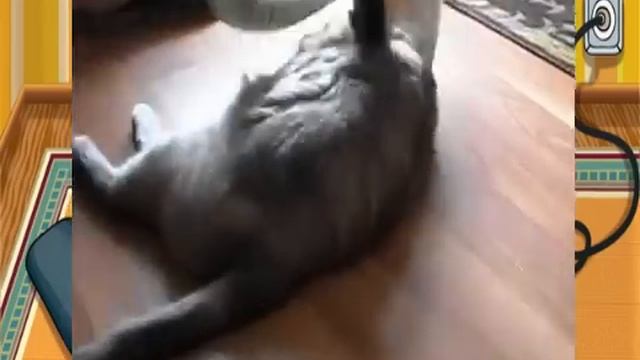 Мистер Котейкин уборка дома? смотреть онлайн