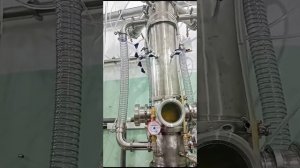 вакуумная экстракция облепихи на экстракторе Сокслета