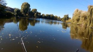 Злобная Щука сожрала Agarron 110SF SR от PONTOON 21.