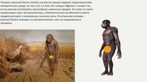 Происхождение и эволюция человека. Антропогенез.