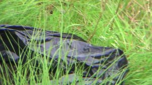 Рыбалка на Лемболовском озере летом в 2016 году.