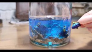 Морской декор бутылки с эпоксидной смолой. DIY sea bottle.