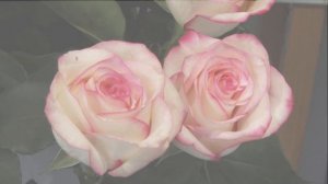 Мама Виктор Тартанов Шансон 2017 Official Video