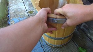 Новая Кадка что с ней делать