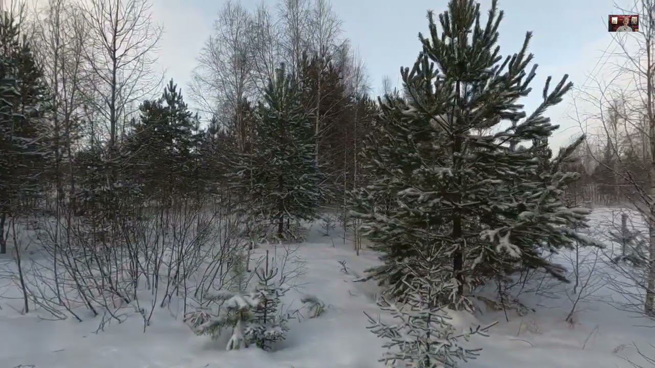 СТИХИ О ЗИМЕ  читает матушка Люба