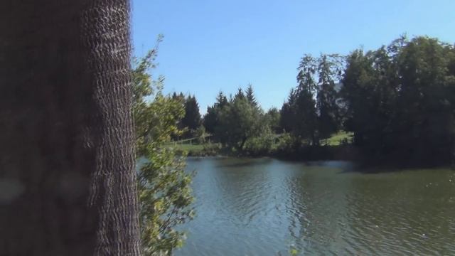 VLOG: ДЕНДРОПАРК АЛЕКСАНДРИЯ, ЭКСКУРСИЯ, НАС УГОЩАЮТ ПЛОВОМ, ОБЩАЕМСЯ С ЛОШАДКАМИ. УКРАИНА КИЕВ смотреть онлайн