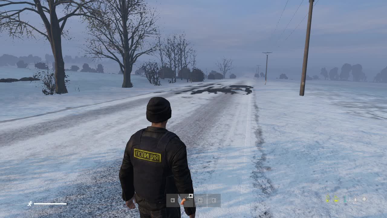 #DAYZ Выживаем зимой в ливонии