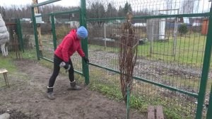 6 соток 13 ноября 2023 года. Хроника.
