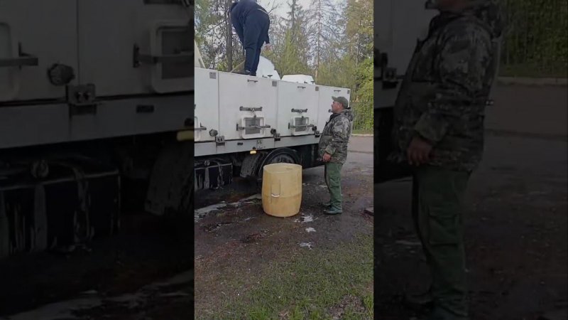 Привоз форели